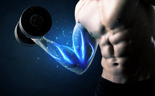 Protein a horčík sú základ. Ťažké váhy ako prírodné antidepresívum. - MAX FIT